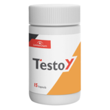 Testoy